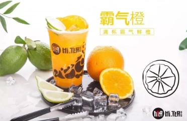鲸鱼体育官网
